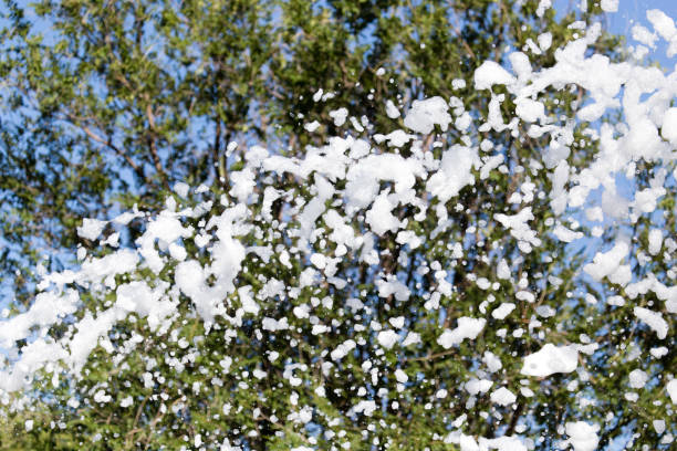 istock White foam at the festival as a background 841292998