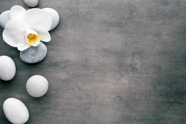 istock White orchid and spa stones on the grey background. 841300962