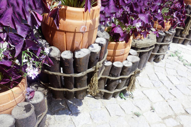 Outside In The Courtyard,Potted Plants