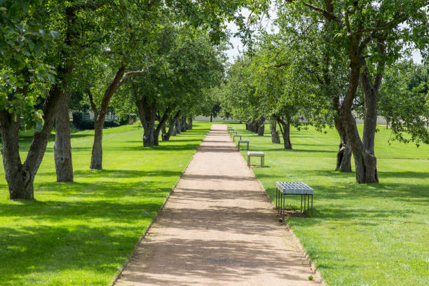 istock The way in the park with tree 841308042