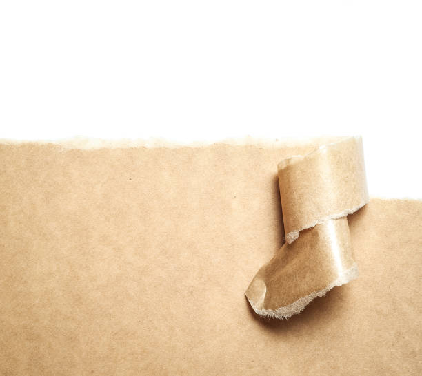 istock Blank torn brown paper with space for text on white background,copy space 841308338
