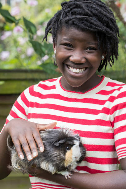 ritratto di ragazza in giardino che si cura di pet guinea pig - guinea pig pets child stroking foto e immagini stock