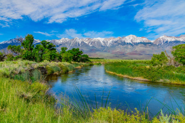 istock Spring in the Owens River Valley with Californian Sierra Nevada Inyo County, CA 841324364
