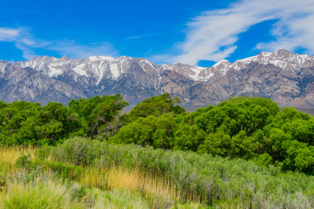 istock Owens Valley springtime with Californian Sierra Nevada in Inyo County, CA 841324816