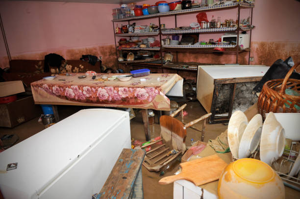 istock The consequences of flooding, flooded interior 841325416