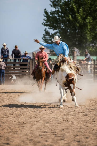 cowboys auf ruckeln broncos - rodeo cowboy motion horse stock-fotos und bilder