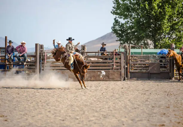 Cowboys on bucking broncos at a rodeo