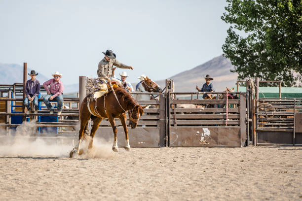 istock Cowboys on Bucking Broncos 841332524