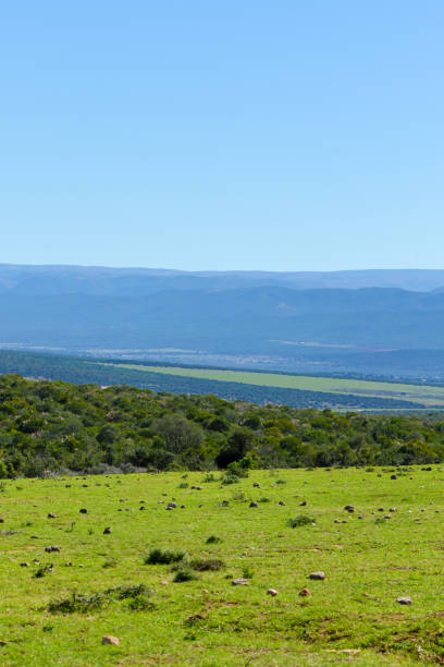 istock Green lands with bushes and mountains 841333760