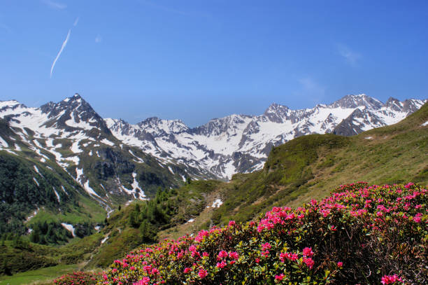 istock Mountain world in South Tyrol, Italy 841333934