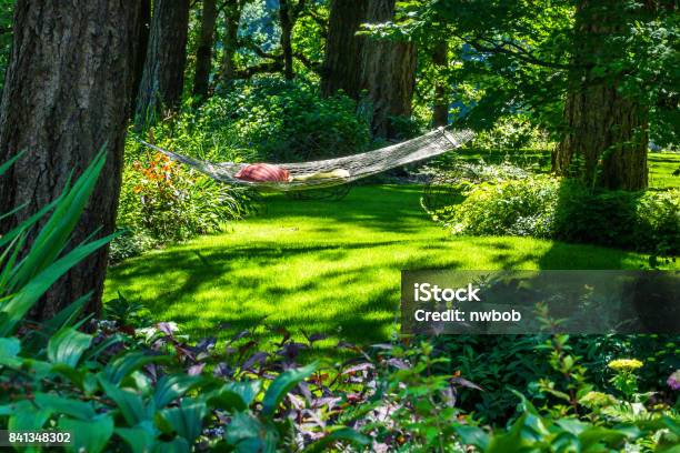 Hammock In Woods Stock Photo - Download Image Now - Yard - Grounds, Hammock, Ornamental Garden