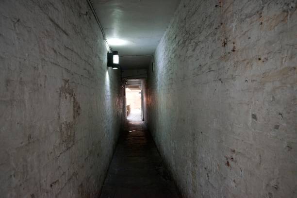 istock Alley in a town centre 841350978