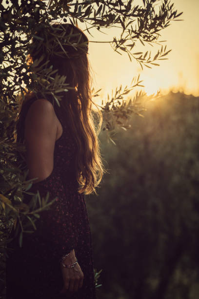 women at sunset in Italy / Tuscany between olive tree field