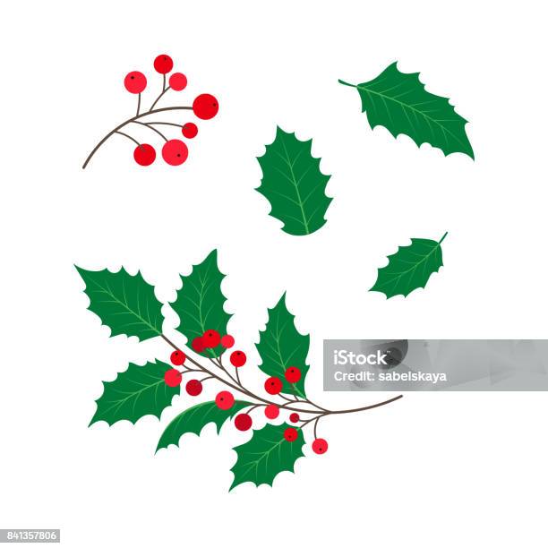 Vector Flat Holly Tree Leaves Branch Berry Set Stock Illustration - Download Image Now - Holly, Christmas, Vector