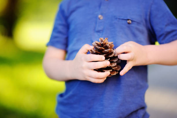 istock Cute little boy playing with two big pine cones outdoors 841358438