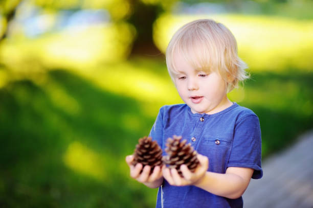 istock Cute little boy playing with two big pine cones outdoors 841358630