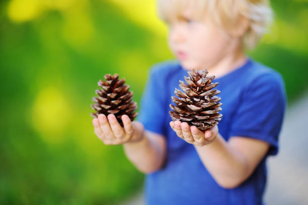 istock Cute little boy playing with two big pine cones outdoors 841358900