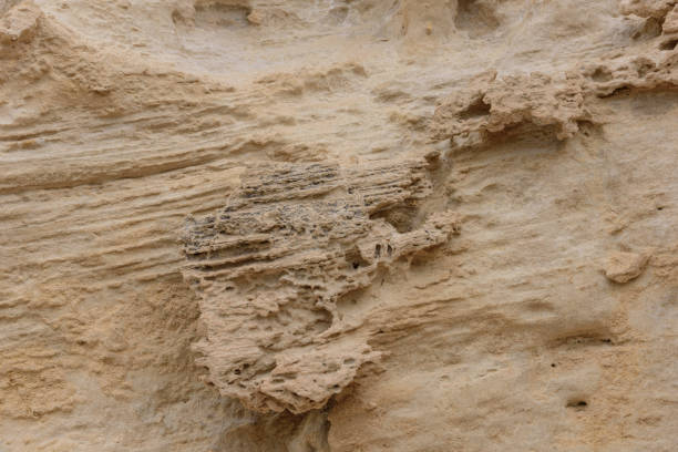 istock Front view of the natural background of yellow limestone with the bumpy surface with dark hollows that are smoothed by the sea waves 04 841359124