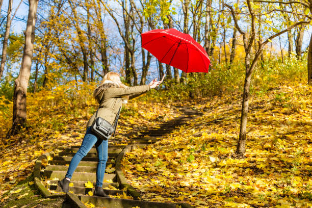 istock Woman walking in park with umbrella, strong wind 841368428