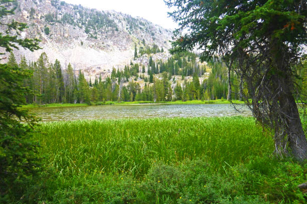 lago de mineros y prairie lake idaho - idaho sun valley idaho lake ketchum fotografías e imágenes de stock