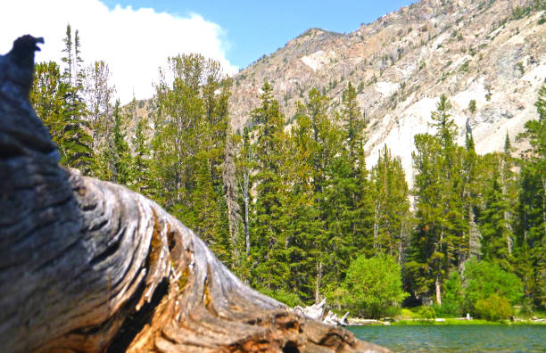 lago de mineros y prairie lake idaho - idaho sun valley idaho lake ketchum fotografías e imágenes de stock