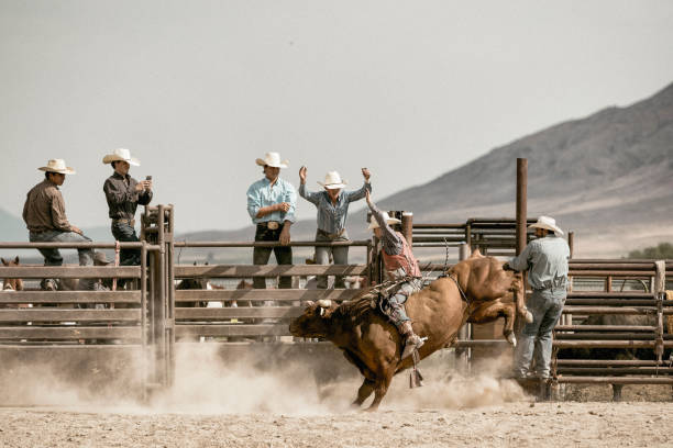 młody kowboj oklep jazda na bucking byka, podczas gdy grupa kowbojów oglądać go w tle. - cowboy cowboy hat hat summer zdjęcia i obrazy z banku zdjęć