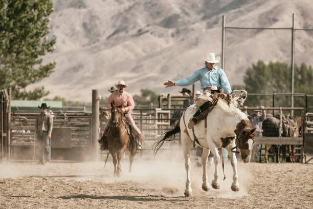 istock A cowboy riding on a bucking horse during the saddle bronc competition. 841376468
