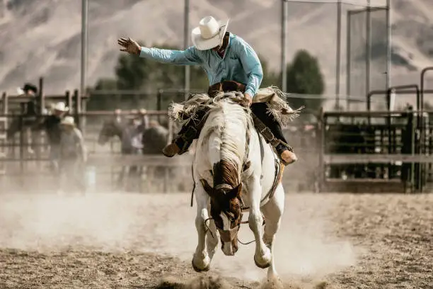 Photo of A cowboy riding on a bucking horse during the saddle bronc competition.