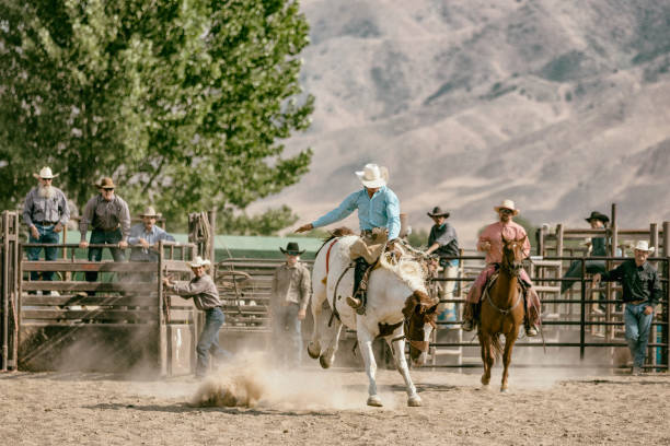 istock A cowboy riding on a bucking horse during the saddle bronc competition. 841376490