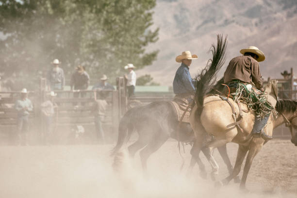 istock A cowboy riding on a bucking horse during the saddle bronc competition. 841376496