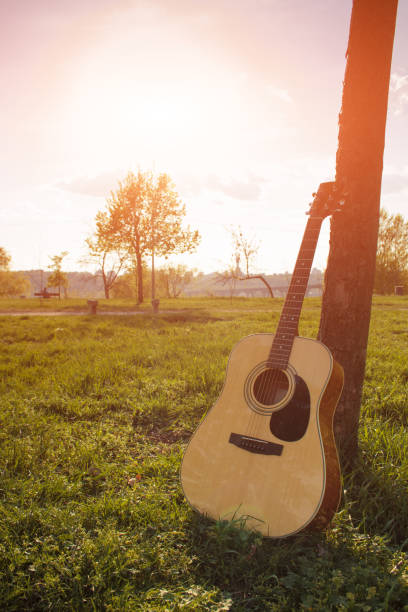 istock Acoustic guitar by the tree on the park background 841379730