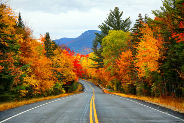 Autumn in the White Mountains of New Hampshire Autumn road in the White Mountains of New Hampshire in autumn. fall travel stock pictures, royalty-free photos & images