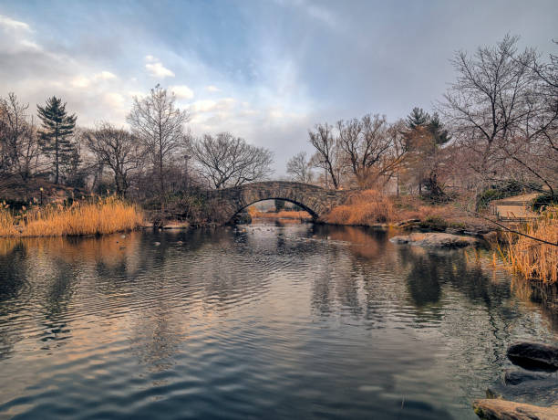 istock Gapstow bridge Central Park, New York City 841383816