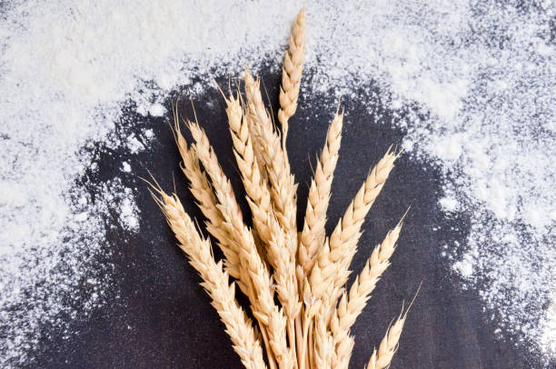 istock spilled flour and wheat ears on black background 841386014