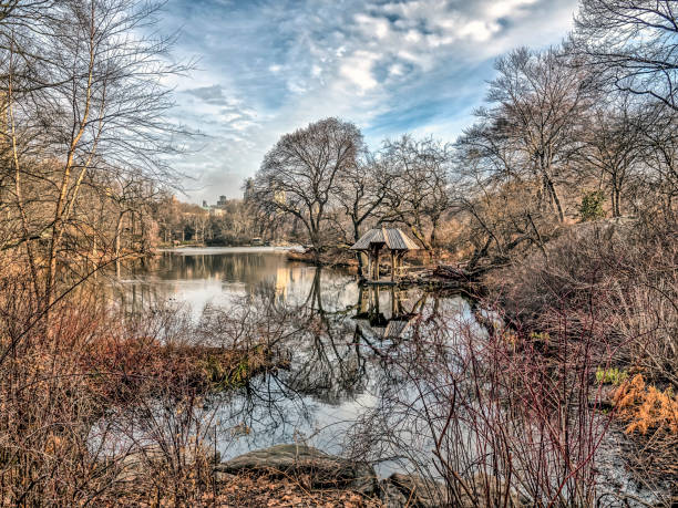 central park, wagner cove - central park - fotografias e filmes do acervo