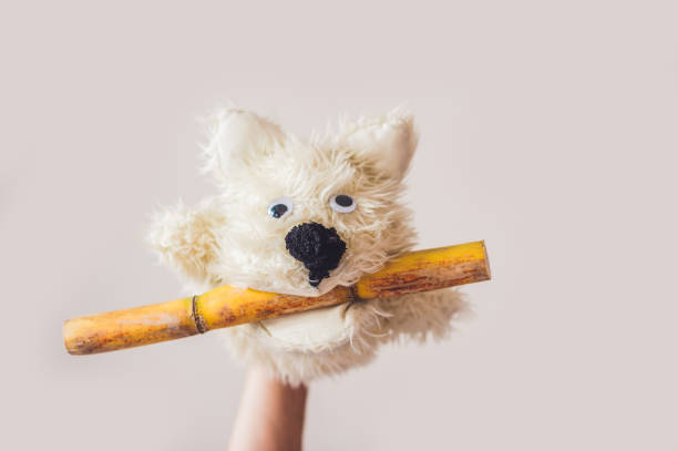 istock Puppet show dog on a gray background. Space for text or replicas 841386838