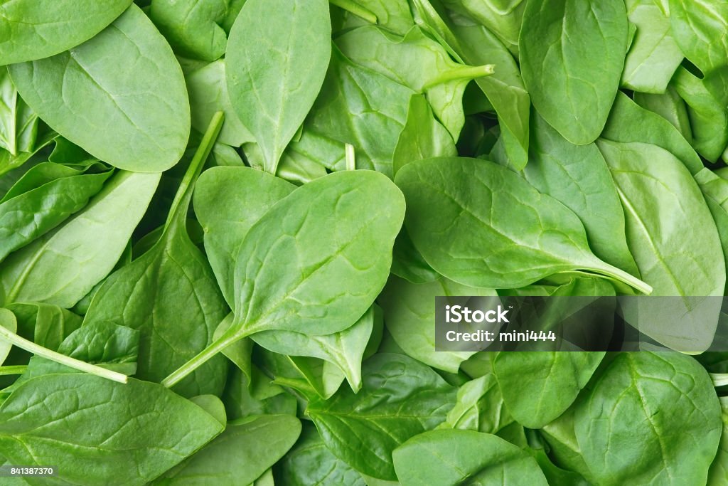 Background made of fresh babyleaf spinach Spinach Stock Photo