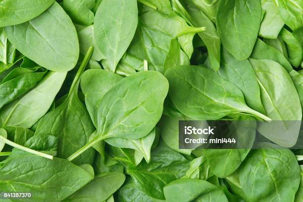 Background Made Of Fresh Babyleaf Spinach Stock Photo - Download Image Now - Spinach, Backgrounds, Dietary Fiber