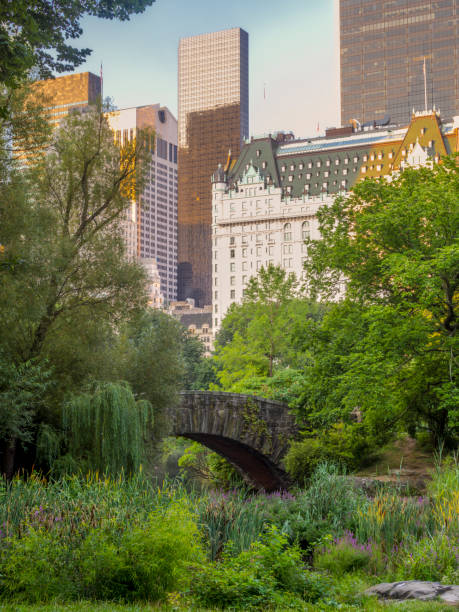 istock Gapstow bridge Central Park, New York City 841387932