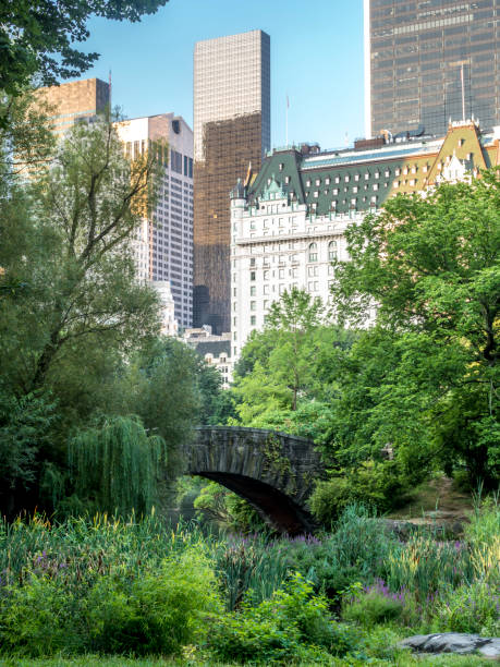 istock Gapstow bridge Central Park, New York City 841388012