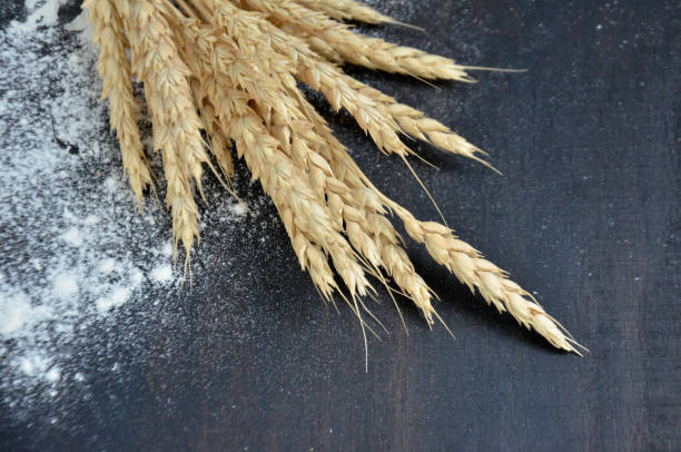 istock spilled flour and wheat ears on black background 841396564