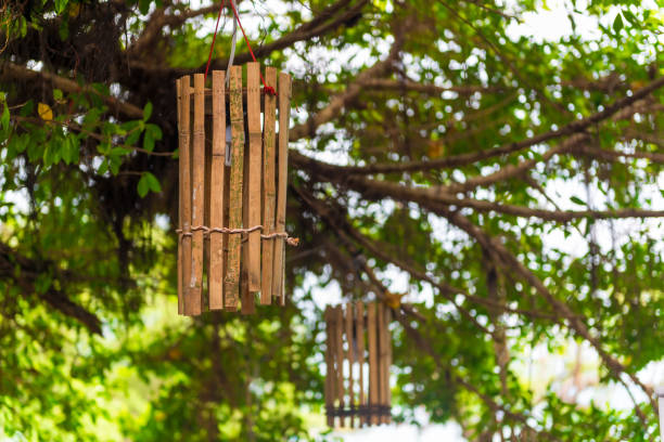 istock wooden lanterns hung on a tall tree on the waterfront in Thailand 841397096