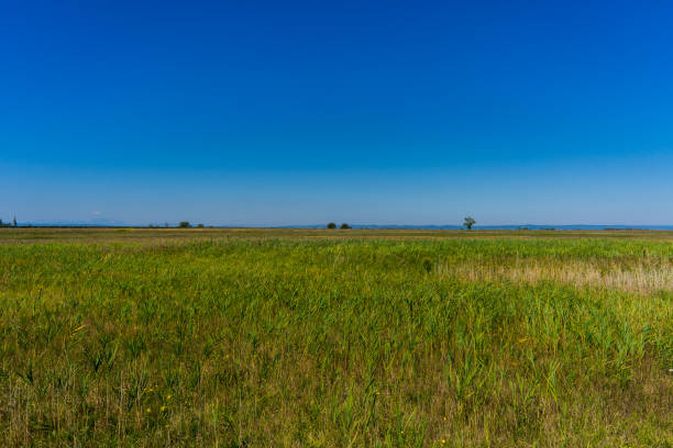 istock Lake Neusiedl, Lakewinkel Nature Park 841401342