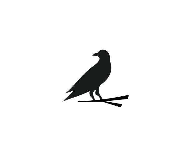 illustrazioni stock, clip art, cartoni animati e icone di tendenza di icona uccello - crows nest