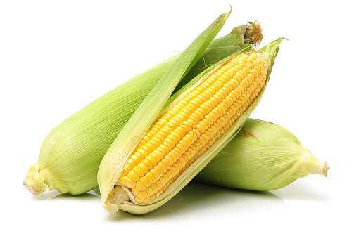 Mazorca de maíz kernels peladas aislado sobre fondo blanco photo