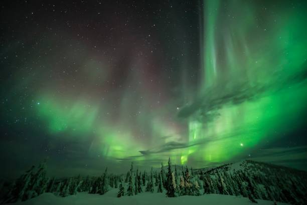 aurora viola e verde su un paesaggio innevato - fairbanks foto e immagini stock