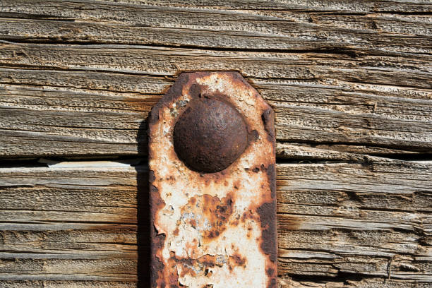 istock Abstract Textures: Rotting, Peeling, Weathered Wood 841409338