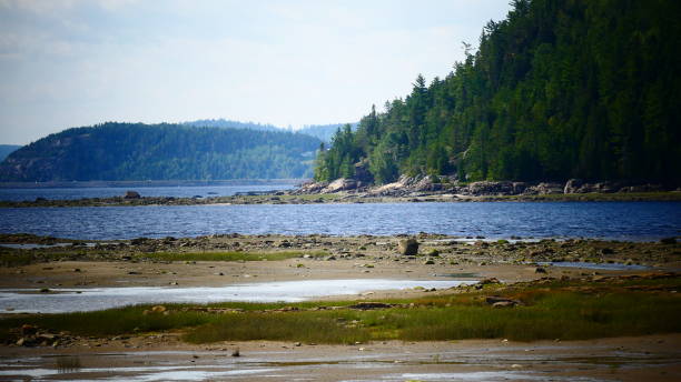 istock Fjord du Saguenay 841412494