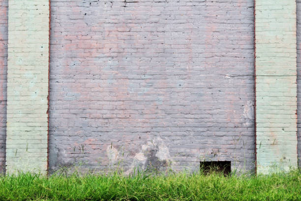 istock Purple and green painted wall with two columns and grass 841419508