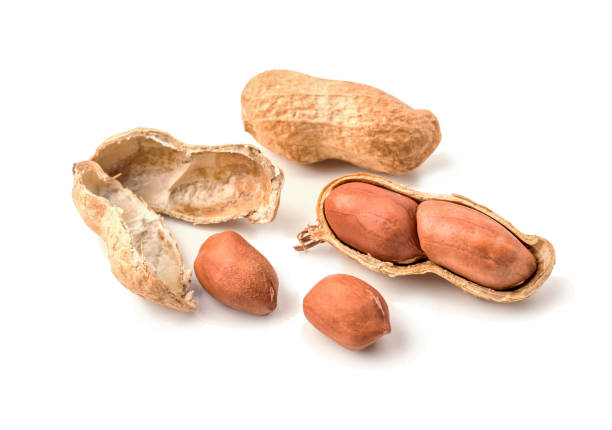 istock Dried peanuts in closeup on white background. 841421690